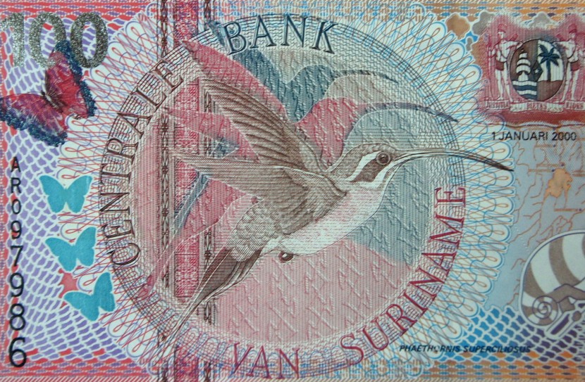 Suriname money